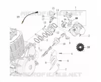 MOTOR / INYECCION / PEDAL DE CAMBIO