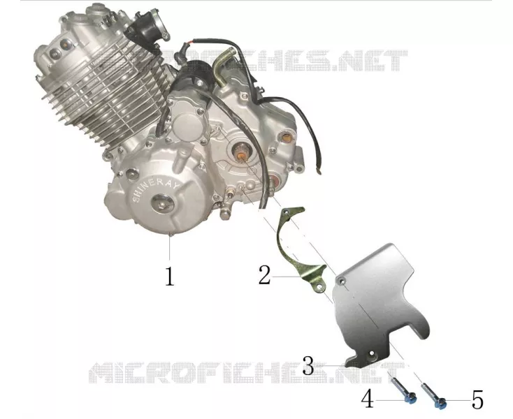MOTOR