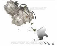 MOTOR / TAPA DEL PIÑÓN DELANTERO