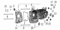 CARTER MOTOR