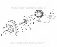 VOLANTE / STATOR