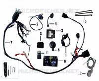 ELECTRICA