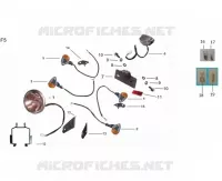 PILOTO TRASERO / FARO / INTERMITENTE