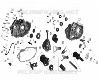 CARTER MOTOR / CIGÜEÑAL
