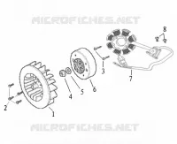 VOLANTE / STATOR