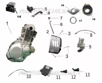 MOTOR PARTES