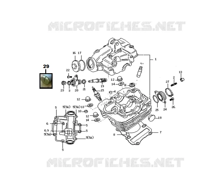 MOTOR / CARBURADOR
