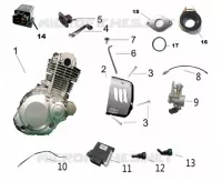MOTOR / INYECCION