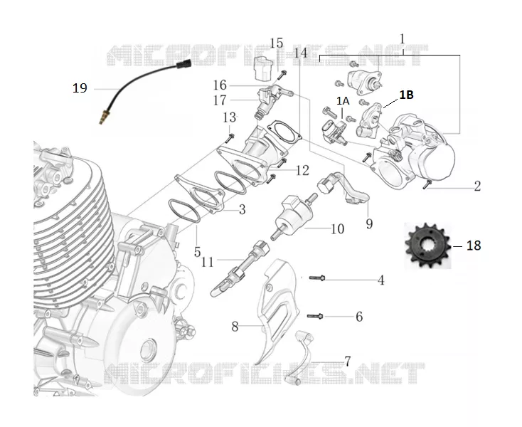 MOTOR / INYECCION / PEDAL DE CAMBIO