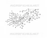 CARTER MOTOR