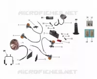 PILOTO TRASERO / FARO / INTERMITENTE