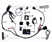 ELECTRICA