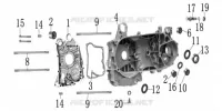 CARTER MOTOR